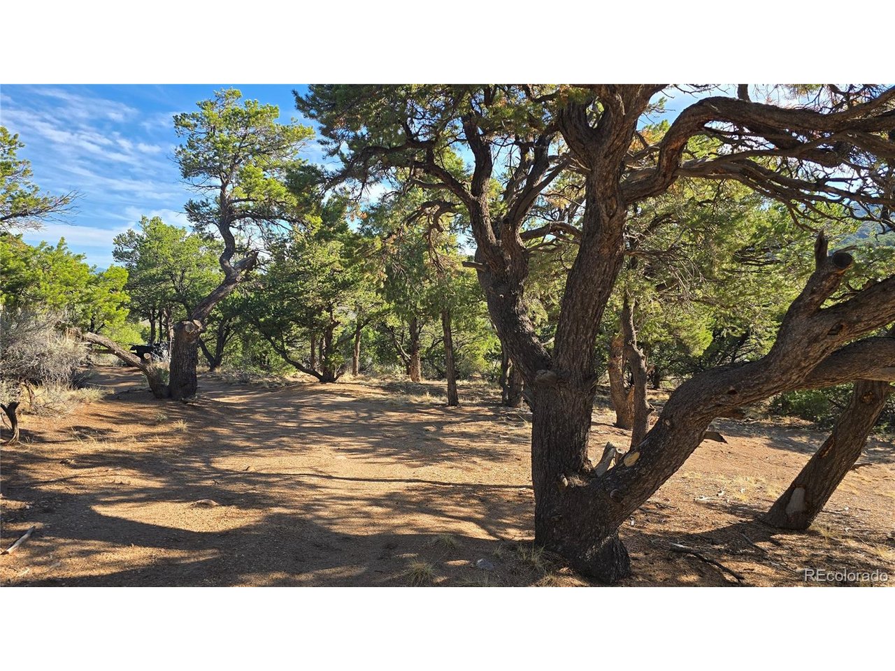 Photo of 2232 Solaz Rd Fort Garland CO 81133