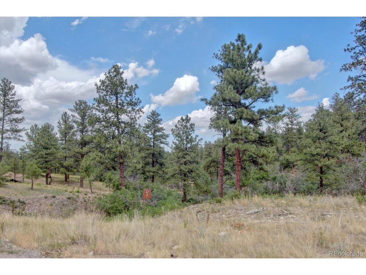 Photo of 11011 Sunset Oaks Pl Franktown CO 80116