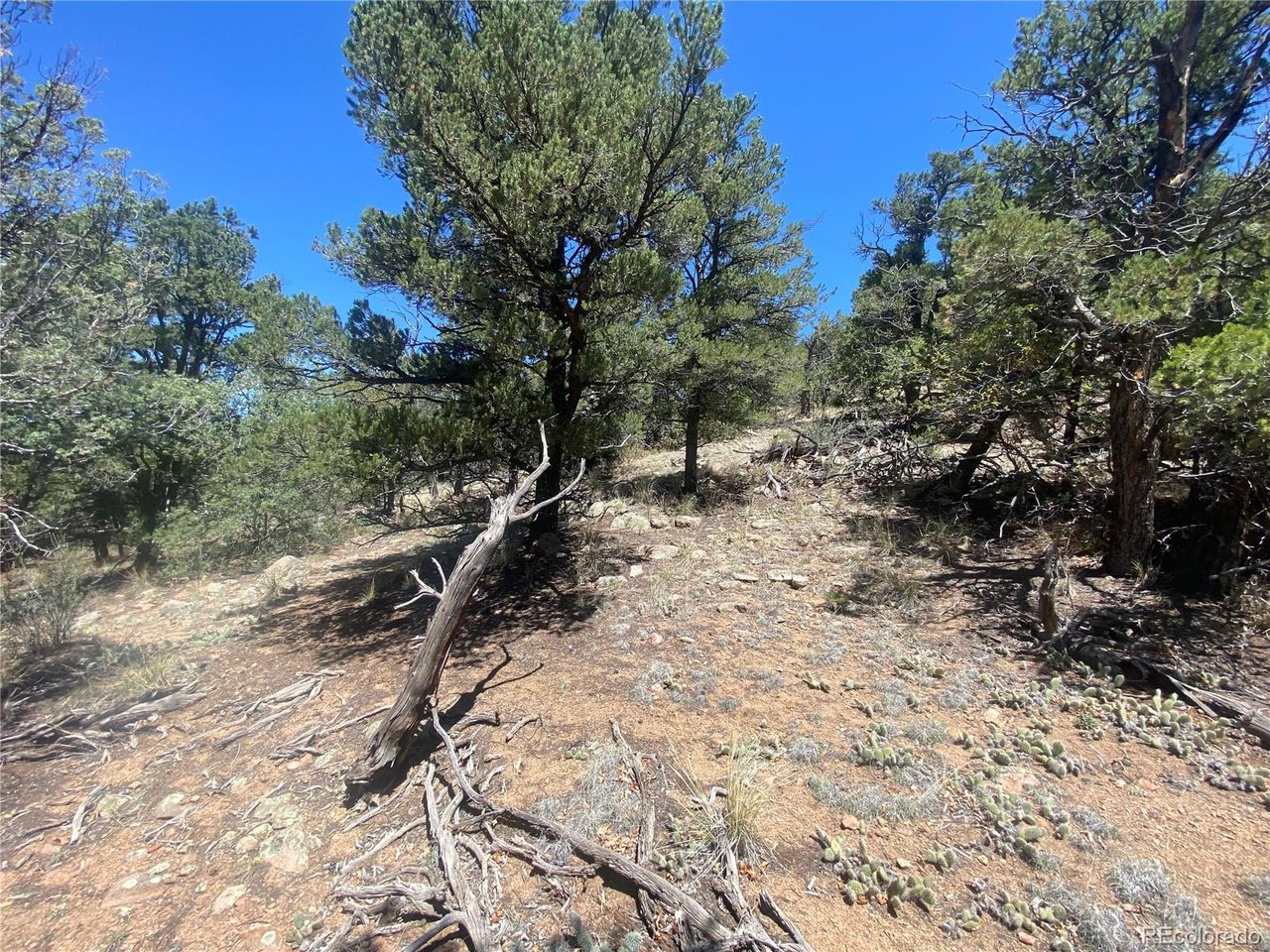 Photo of 142 17th Trl Cotopaxi CO 81223
