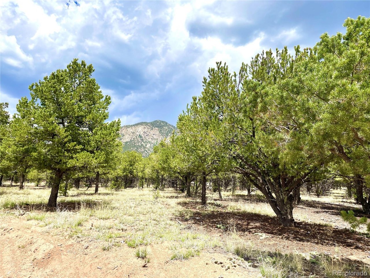 Photo of 6 Philleo Way Crestone CO 81131