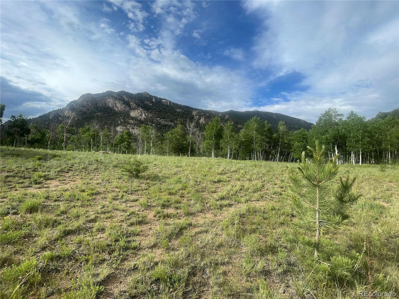 Photo of 171 Emerald Way Lake George CO 80827