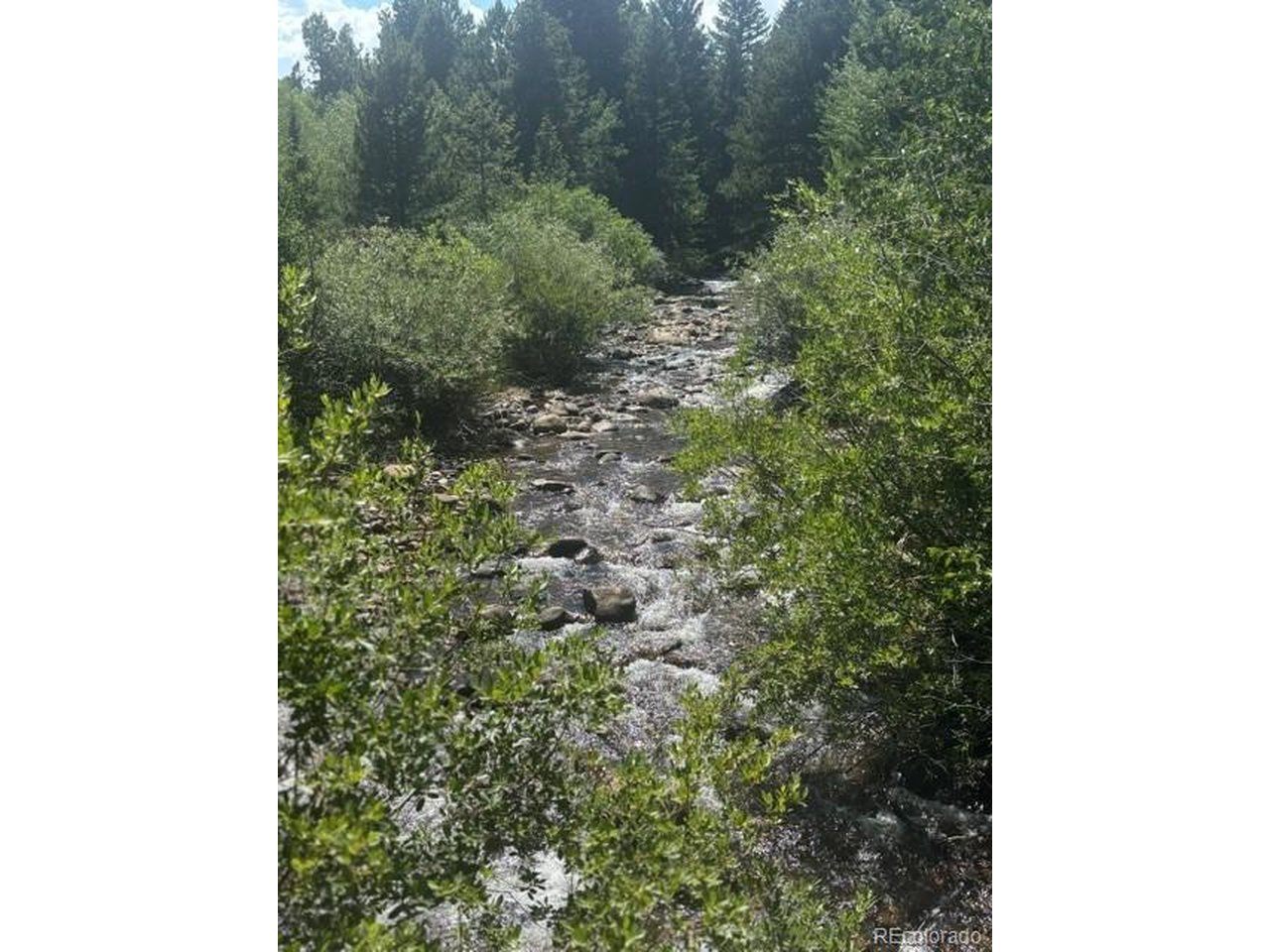 Photo of 105 Caribou St Nederland CO 80466