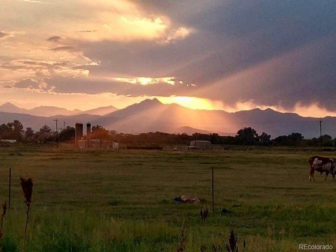 Photo of 2832 County Road 20 Longmont CO 80504
