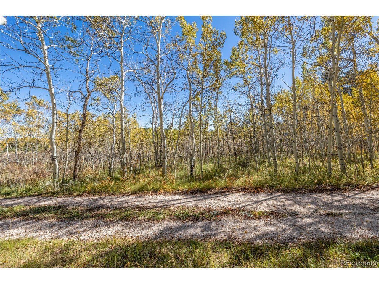 Photo of LOT 2A & 2B Red Feather Lakes CO 80545