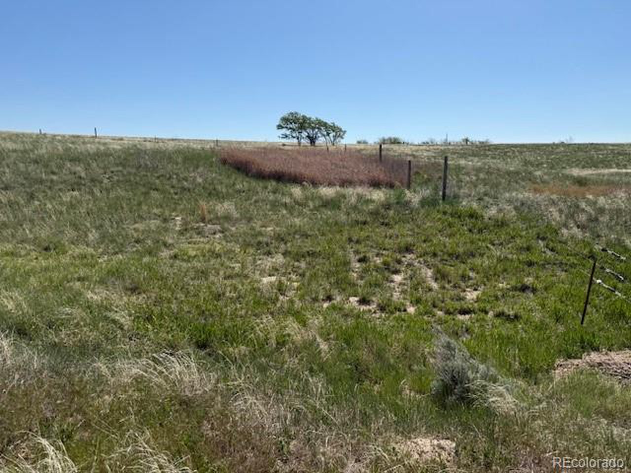 Photo of 36 Arlyn Way Wray CO 80758
