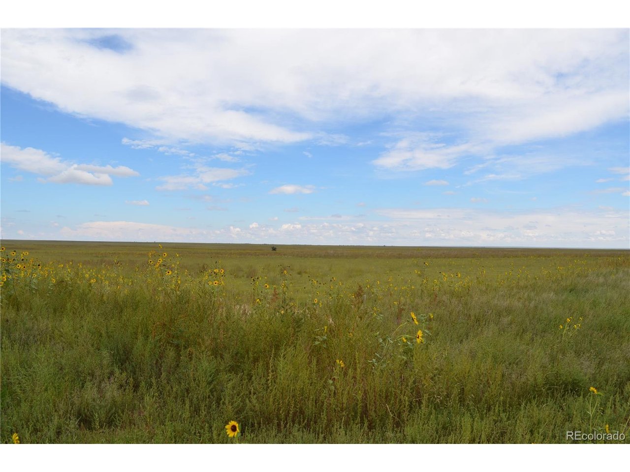 Photo of 7 County Rd V Rush CO 80833