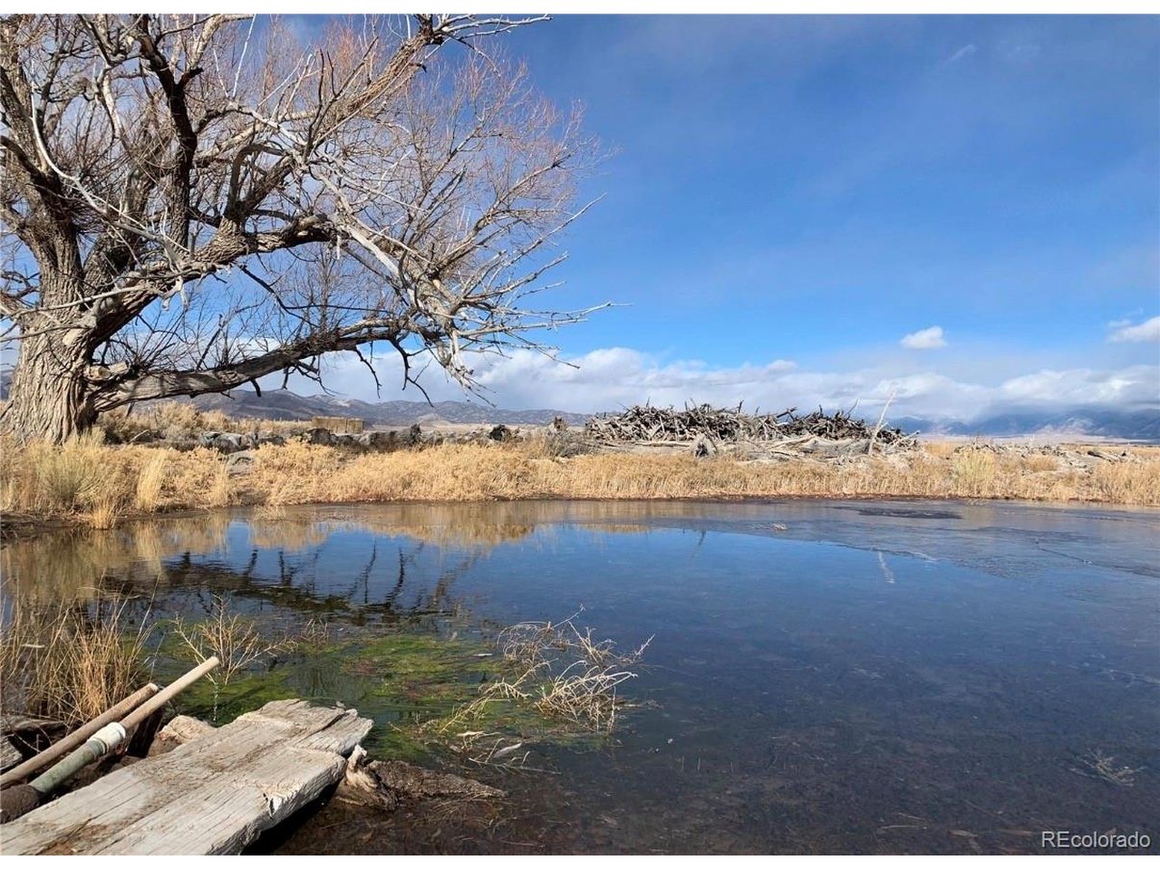 Photo of 51655 County Road U Saguache CO 81149