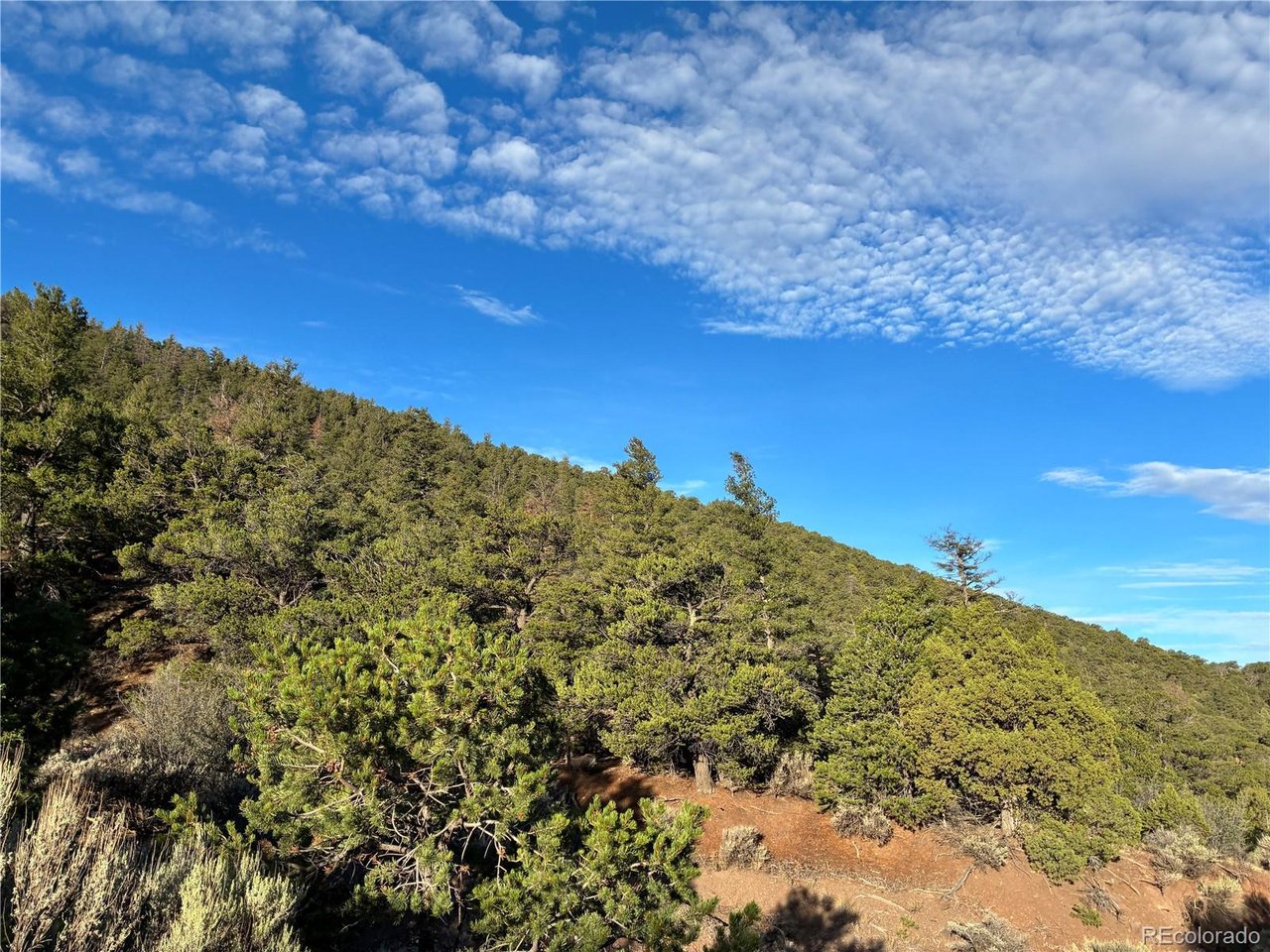 Photo of 8 Adelaide Rd San Luis CO 81152