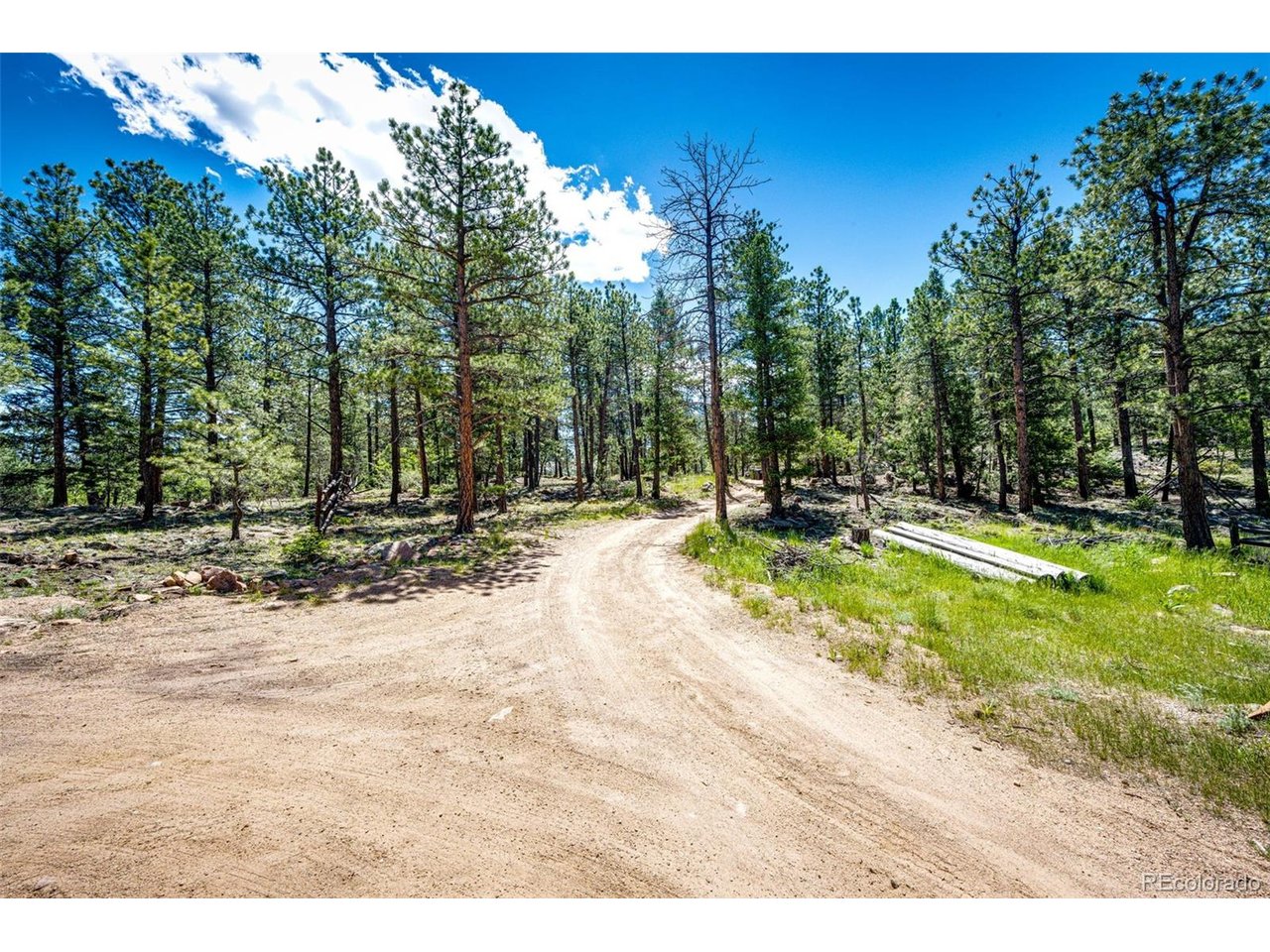 Photo of S Wandcrest Dr Pine CO 80470