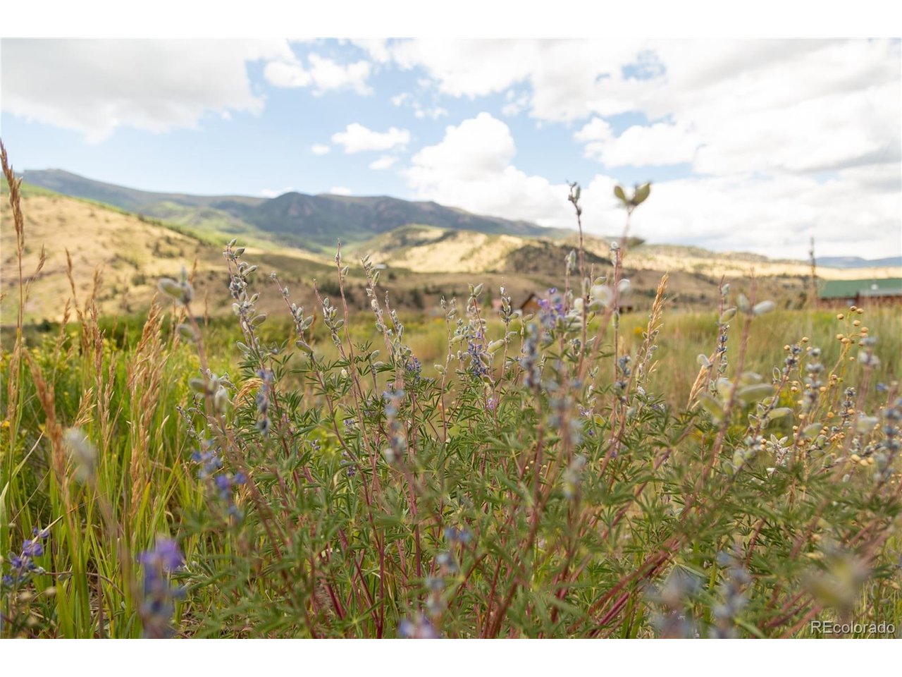 Photo of 341 Spruce Dr Creede CO 81130