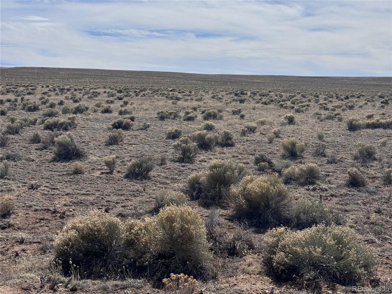 Photo of 11 Margo San Luis CO 81152