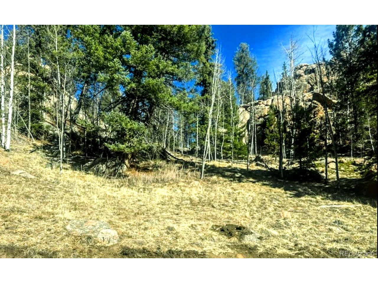 Photo of 987 Eagle Rock Rd Florissant CO 80816