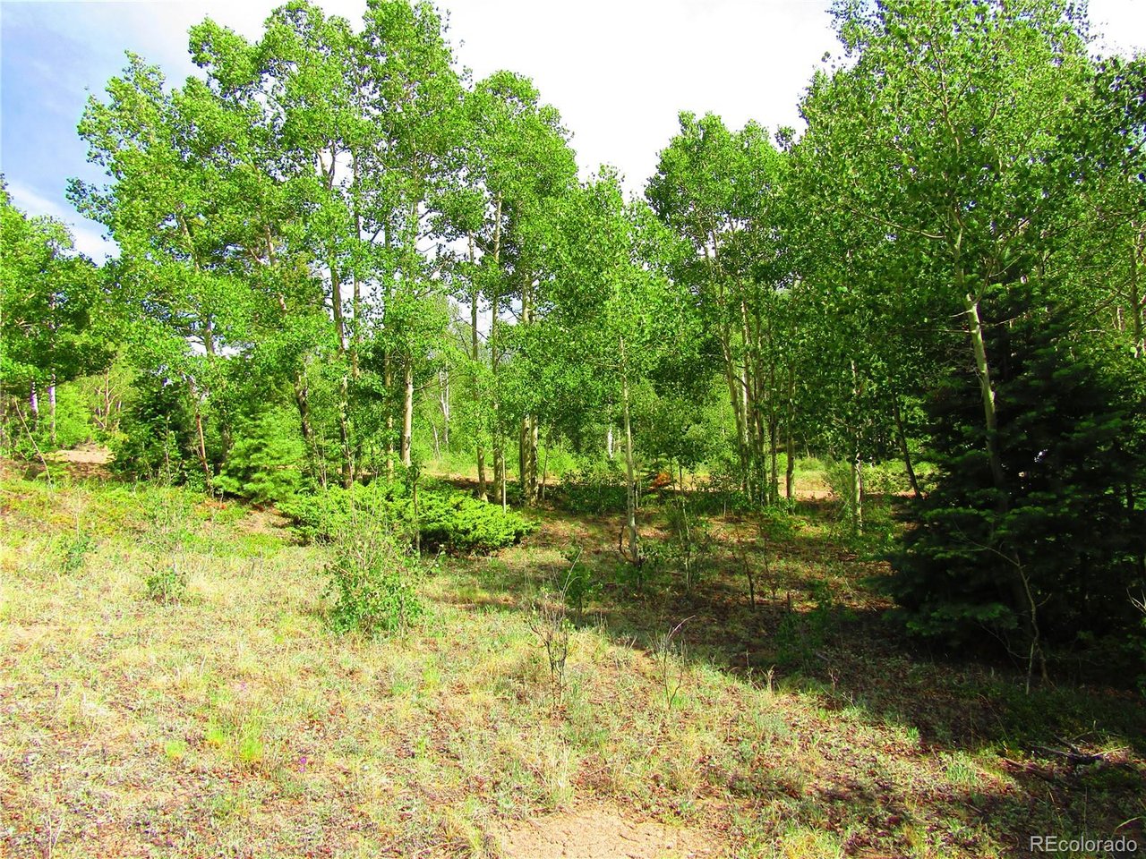 Photo of 6093 Forbes Rd San Luis CO 81152