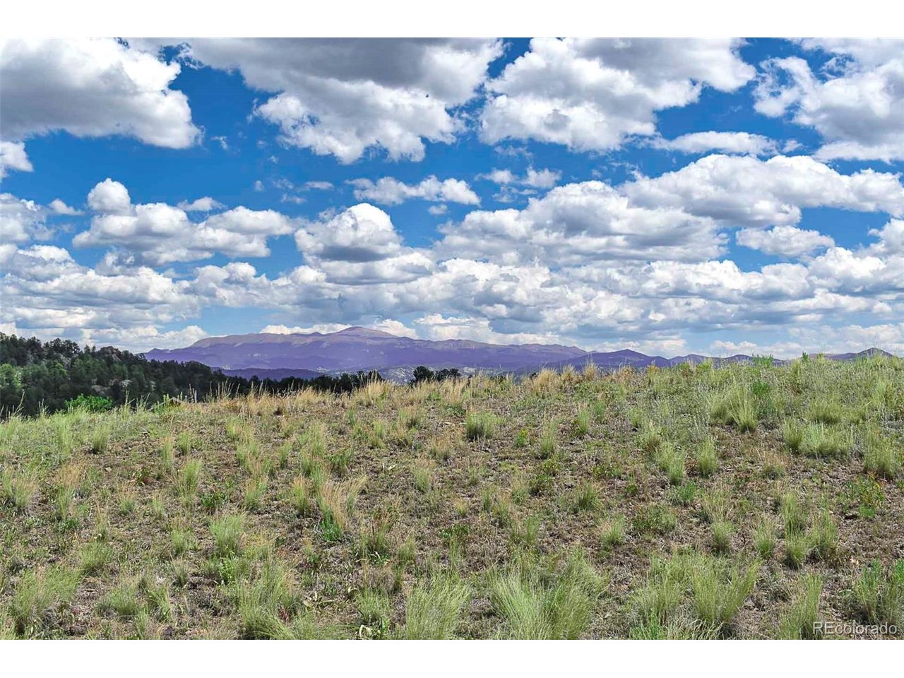 Photo of 4680 County Road 71 Guffey CO 80820