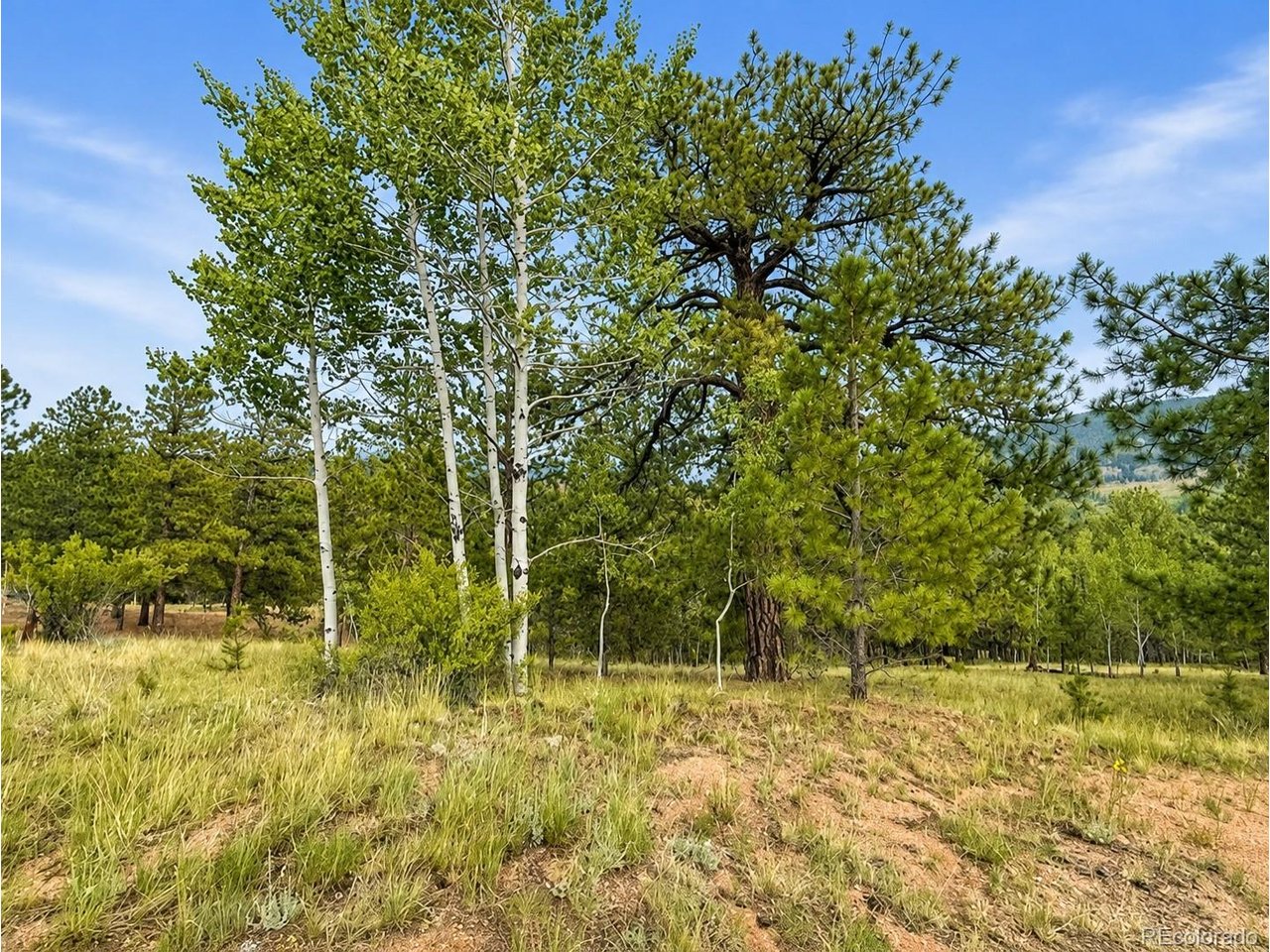 Photo of 88 May Queen Way Cripple Creek CO 80813