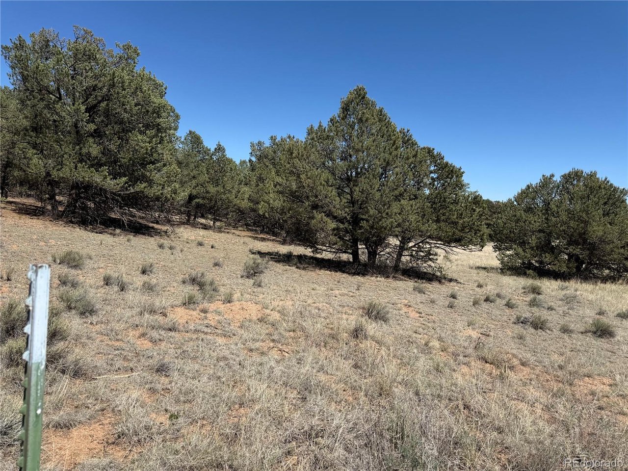 Photo of 520 W View Rd Cotopaxi CO 81223