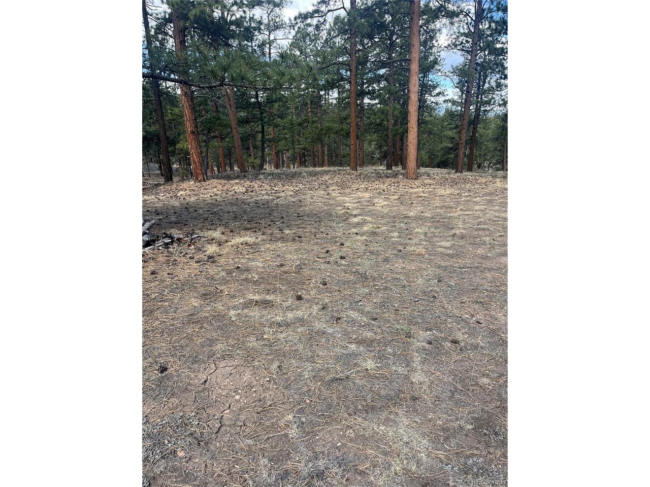 Photo of 185 Sioux Trl Westcliffe CO 81252