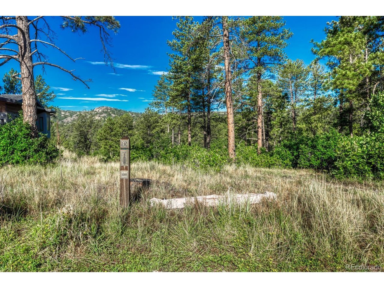 Photo of 1205 Wildcat Bend Ct Castle Rock CO 80108