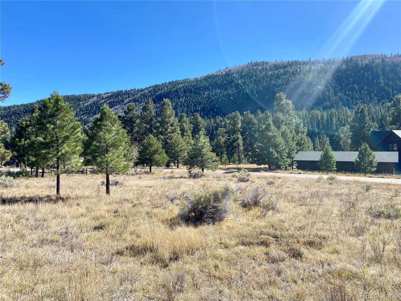 Photo of 166 Lonesome Pine Dr Antonito CO 81120