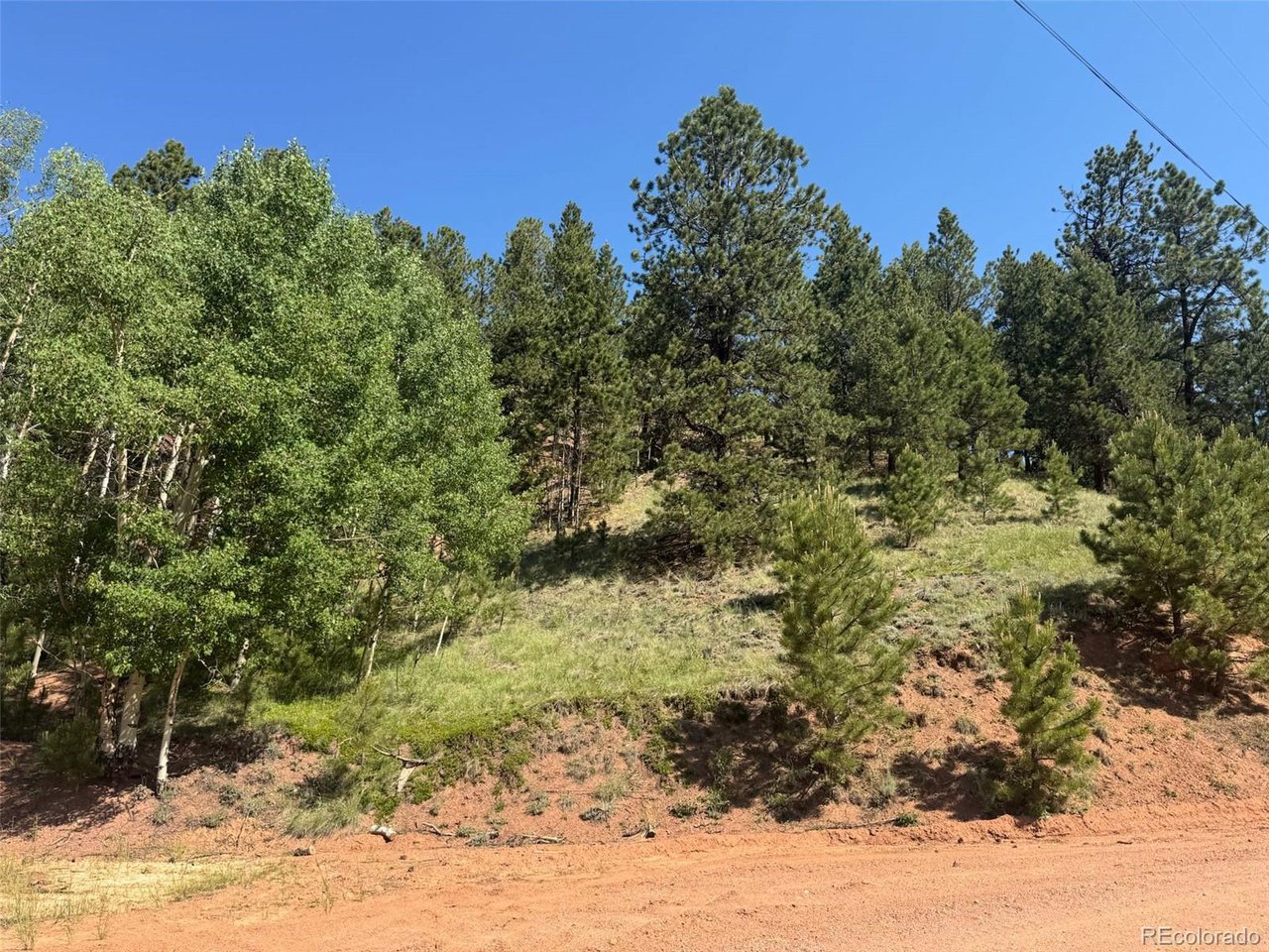 Photo of No Address Listed Divide CO 80814