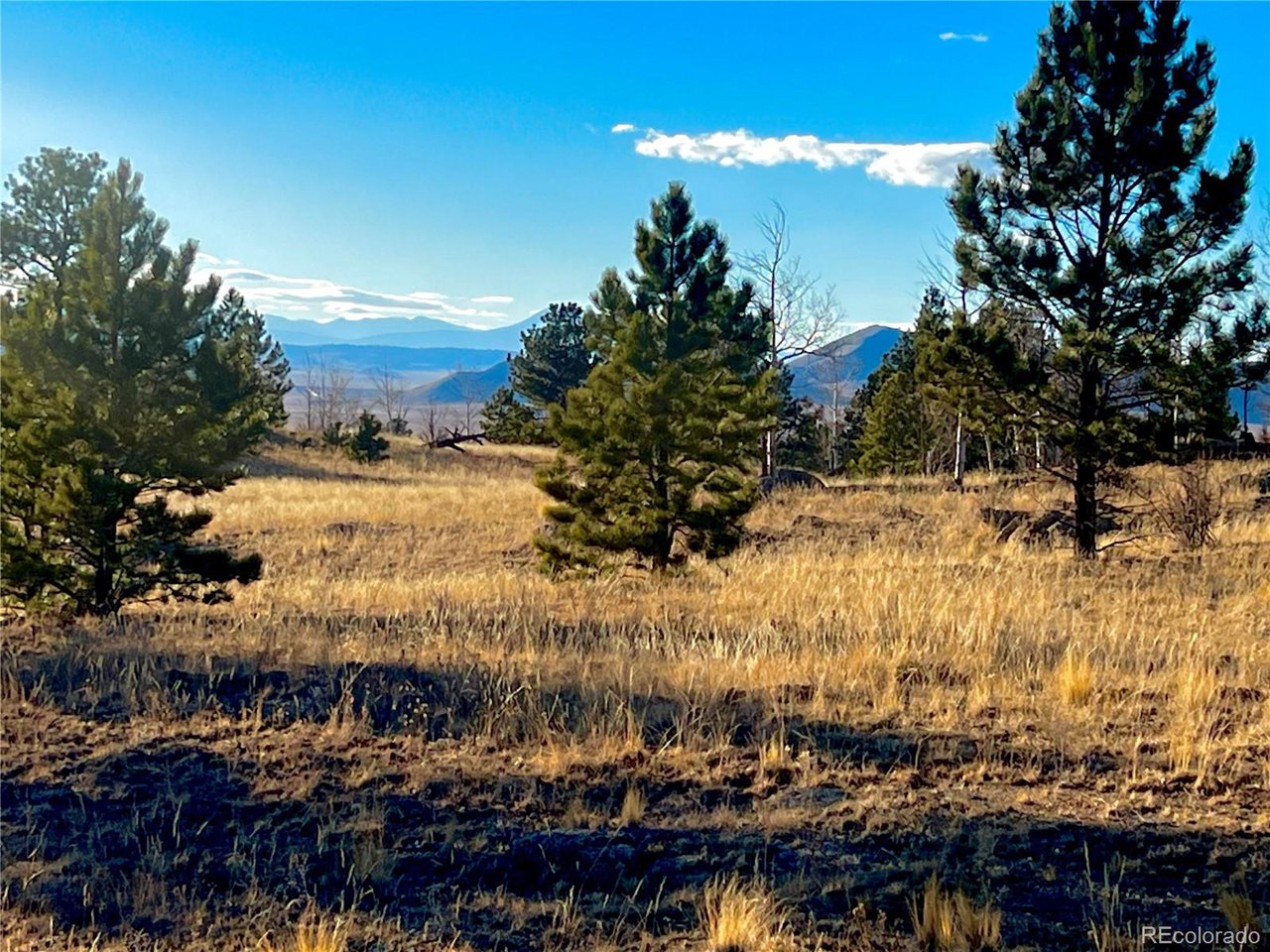Photo of 215 Topaz Rd Lake George CO 80827