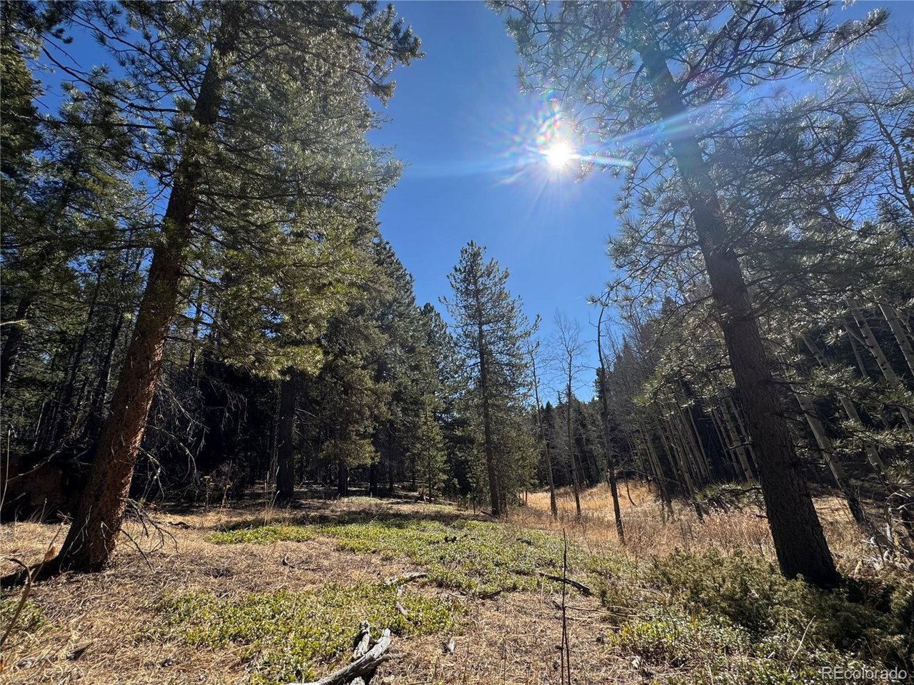 Photo of 14 Wallace Ave Conifer CO 80433