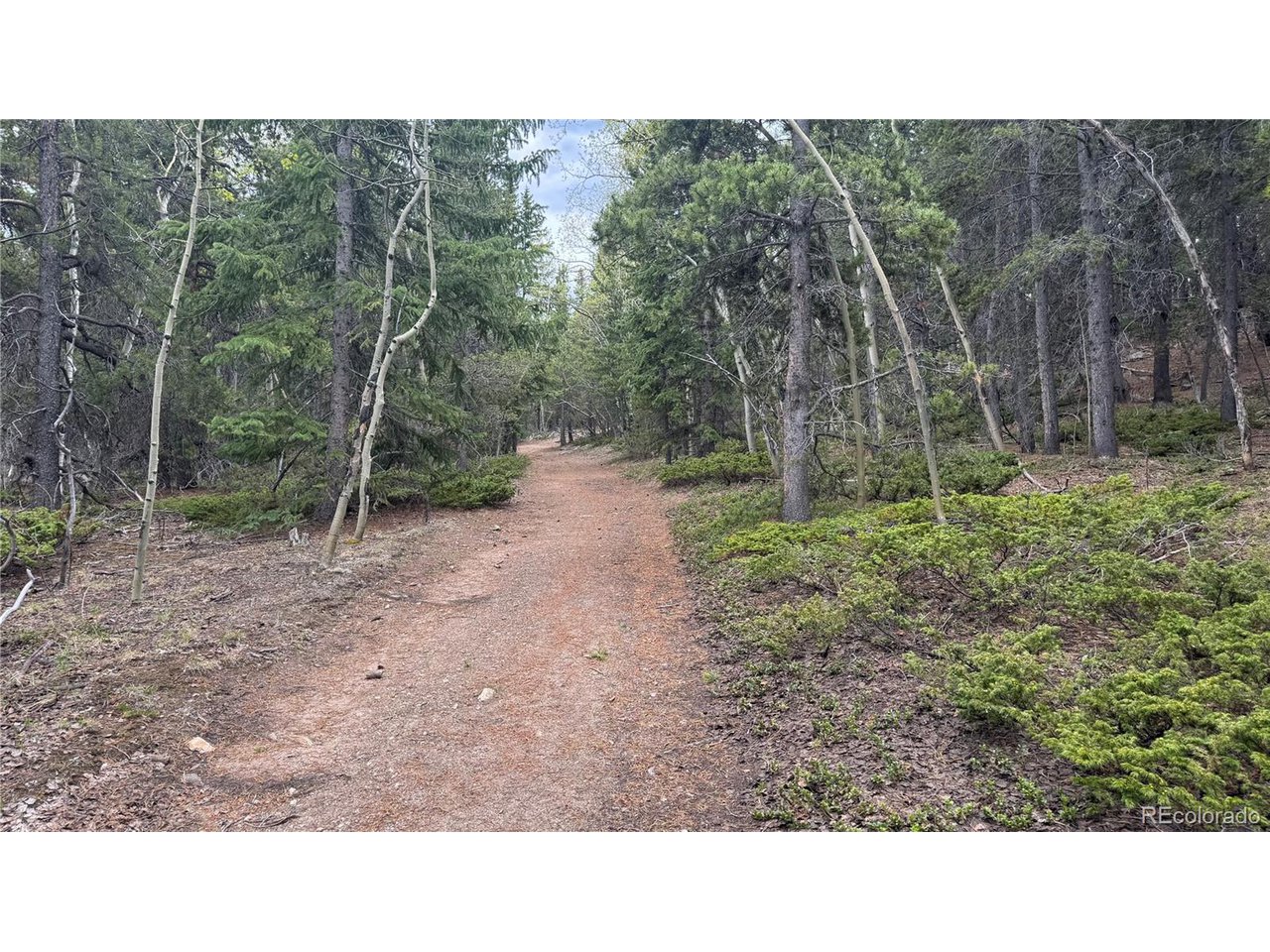 Photo of 5 Roy Smith Rd Central City CO 80427