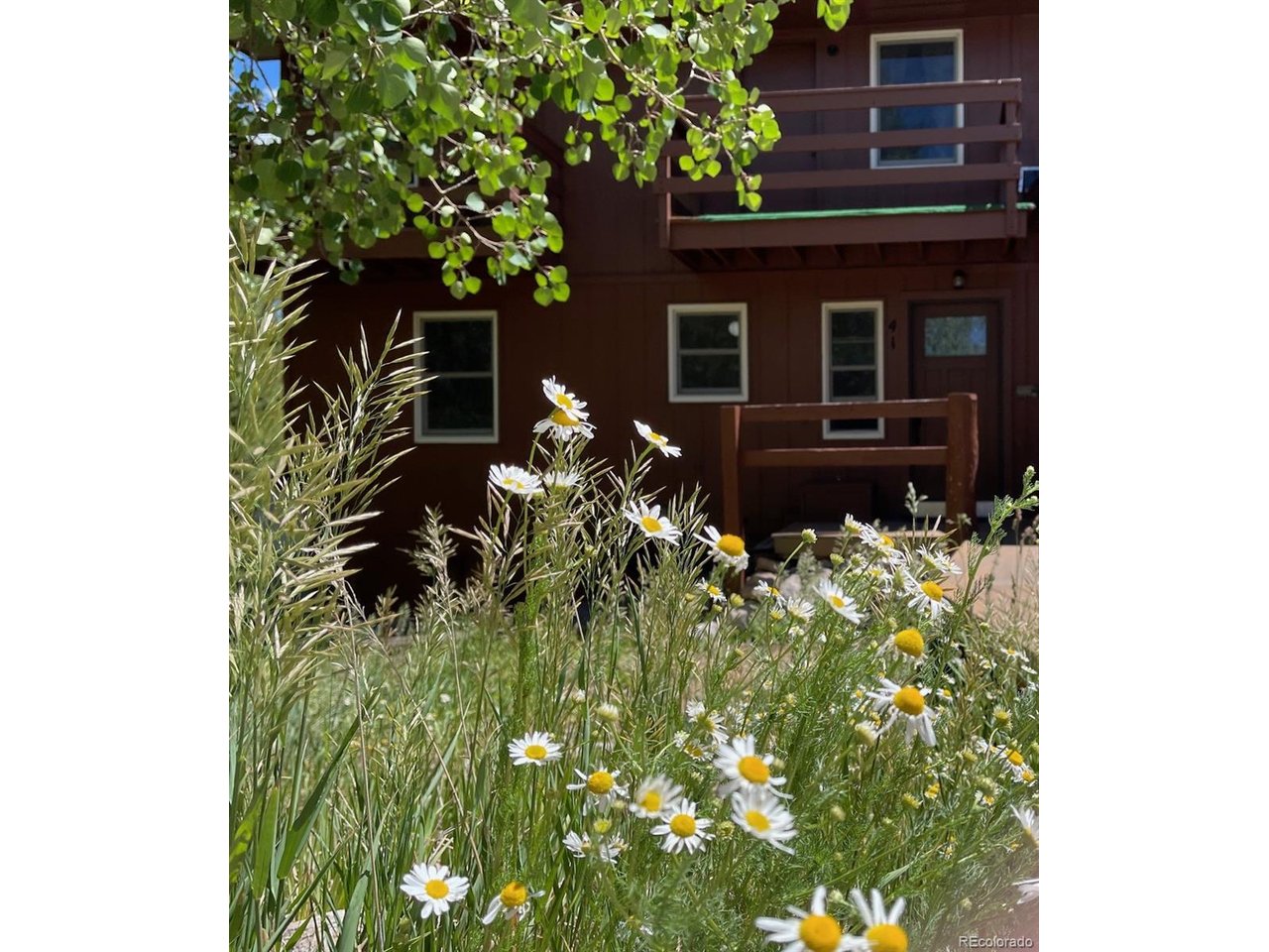 Photo of 41 Poplar Cir Silverthorne CO 80498