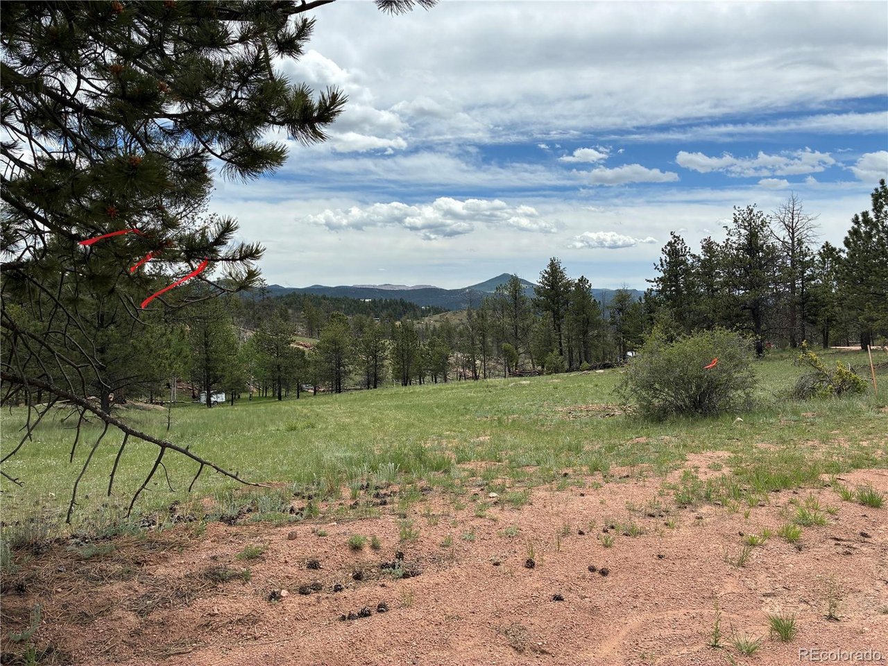 Photo of 266 Chapparal Trl Florissant CO 80816