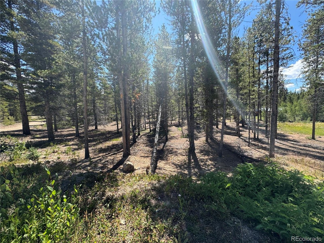Photo of 334 Baby Doe Dr Leadville CO 80461