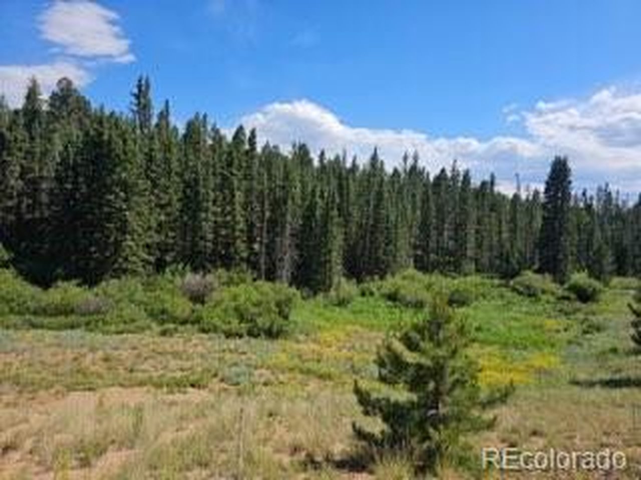 Photo of 1164 Arapahoe Creek Trl Florissant CO 80816