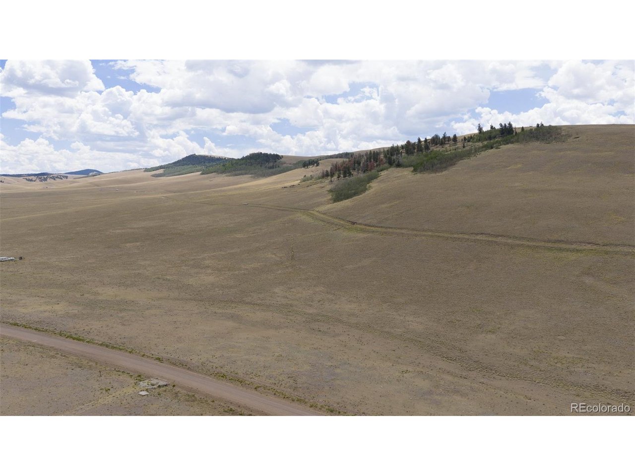 Photo of Lot 3912 County Road 53 Hartsel CO 80449