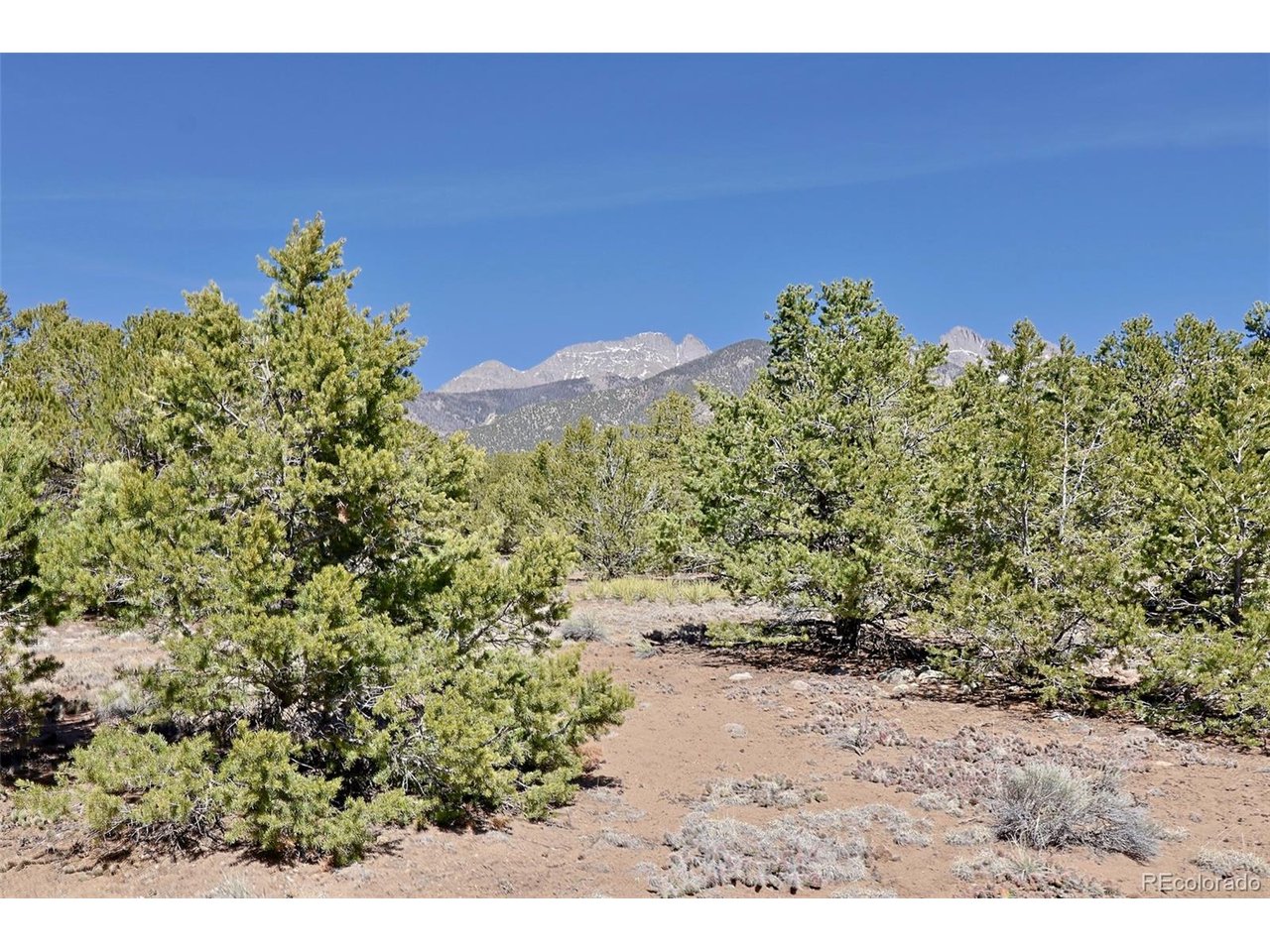 Photo of 3921 Cordial Way Crestone CO 81131