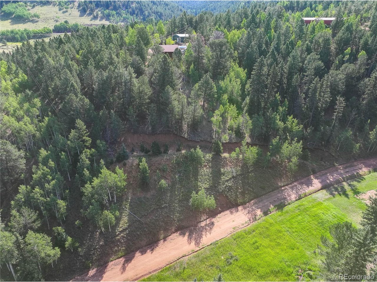 Photo of 490 Willow Rd Divide CO 80814