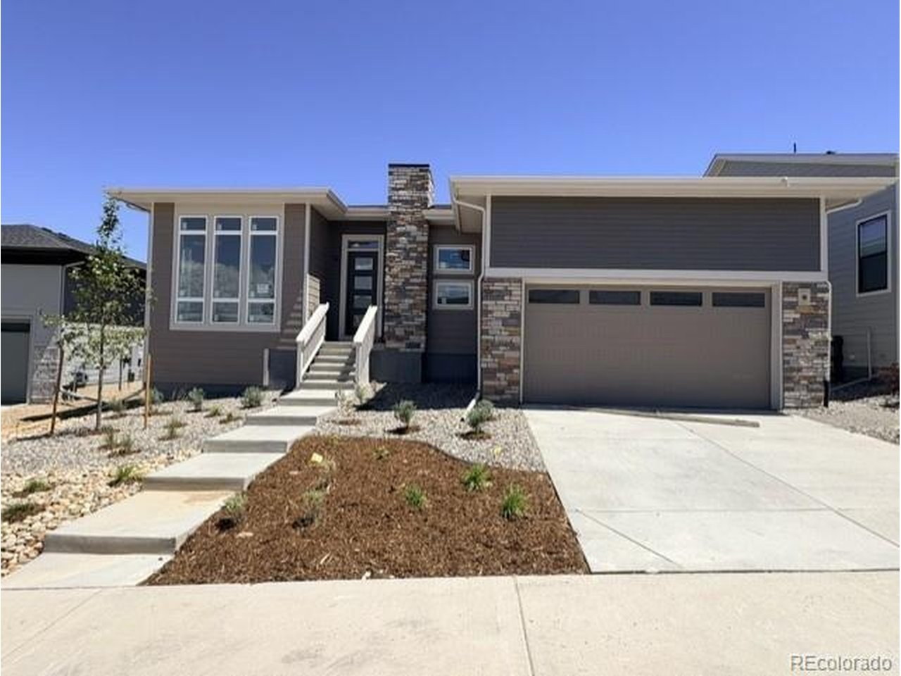 Photo of 414 Leafy Aster Ln Castle Rock CO 80104