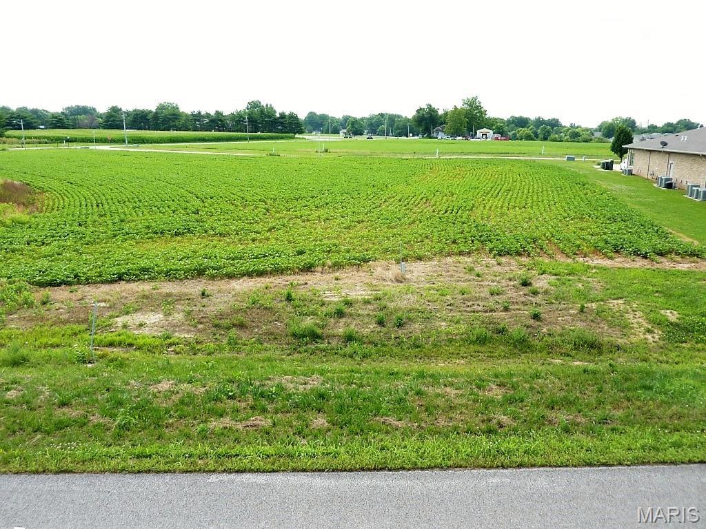Photo of 0 Station Crossing Lot 2 Waterloo IL 62298