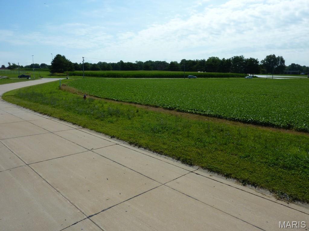 Photo of 0 Station Crossing Lot 5 Waterloo IL 62298
