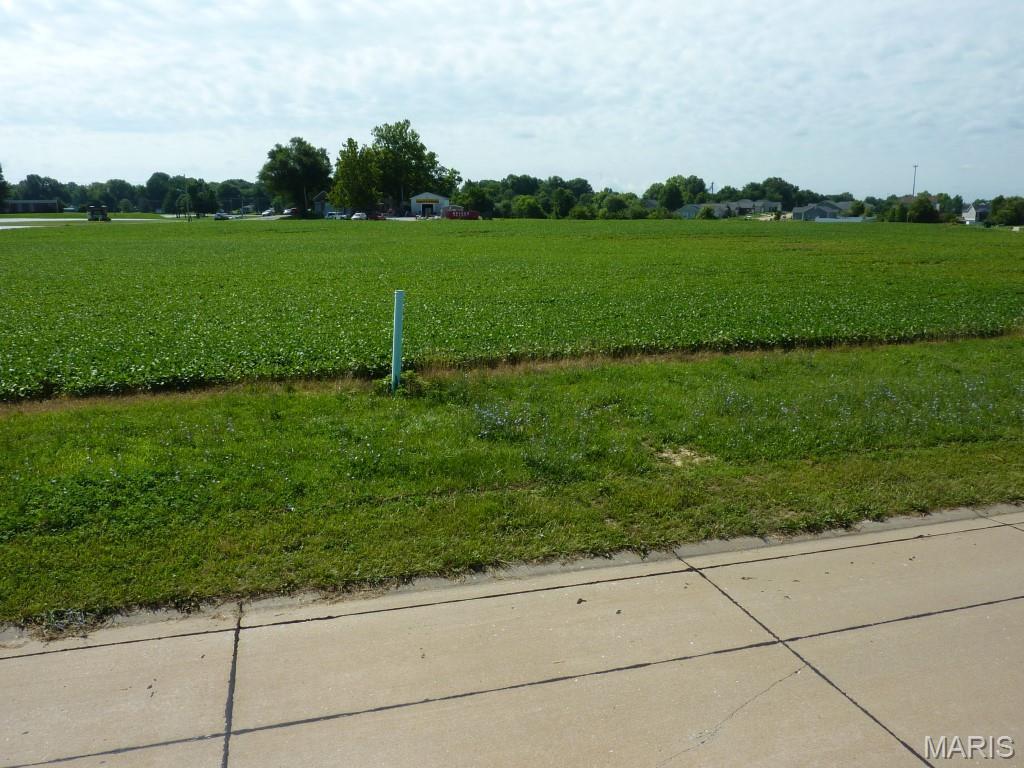 Photo of 0 Station Crossing Lot 6 Waterloo IL 62298