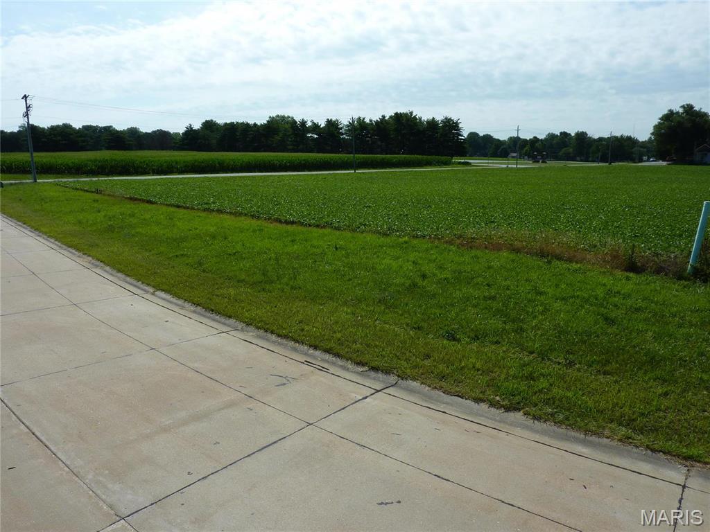 Photo of 0 Station Crossing Lot 7 Waterloo IL 62298