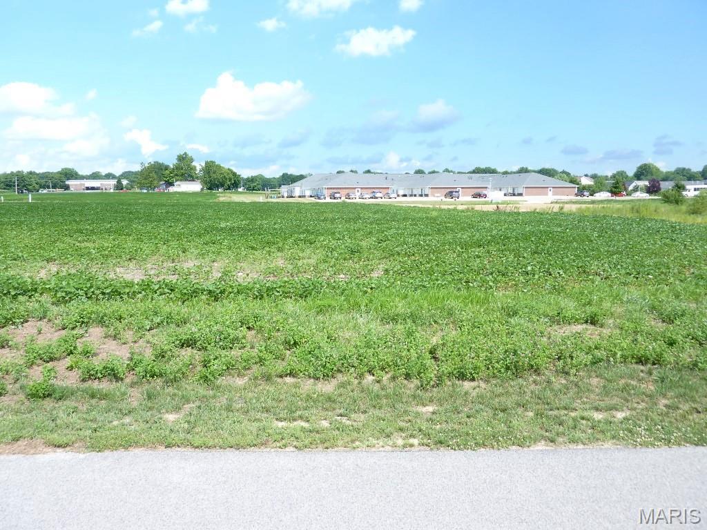 Photo of 0 Station Crossing Lot 10 Waterloo IL 62298