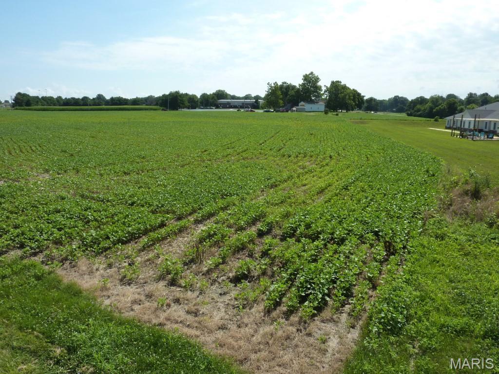 Photo of 0 Station Crossing Lot 13 Waterloo IL 62298