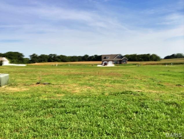 Photo of 505 BLUFF MEADOWS Drive Valmeyer IL 62295