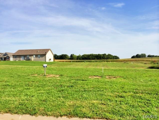 Photo of 517 Bluff Meadows Drive Valmeyer IL 62295