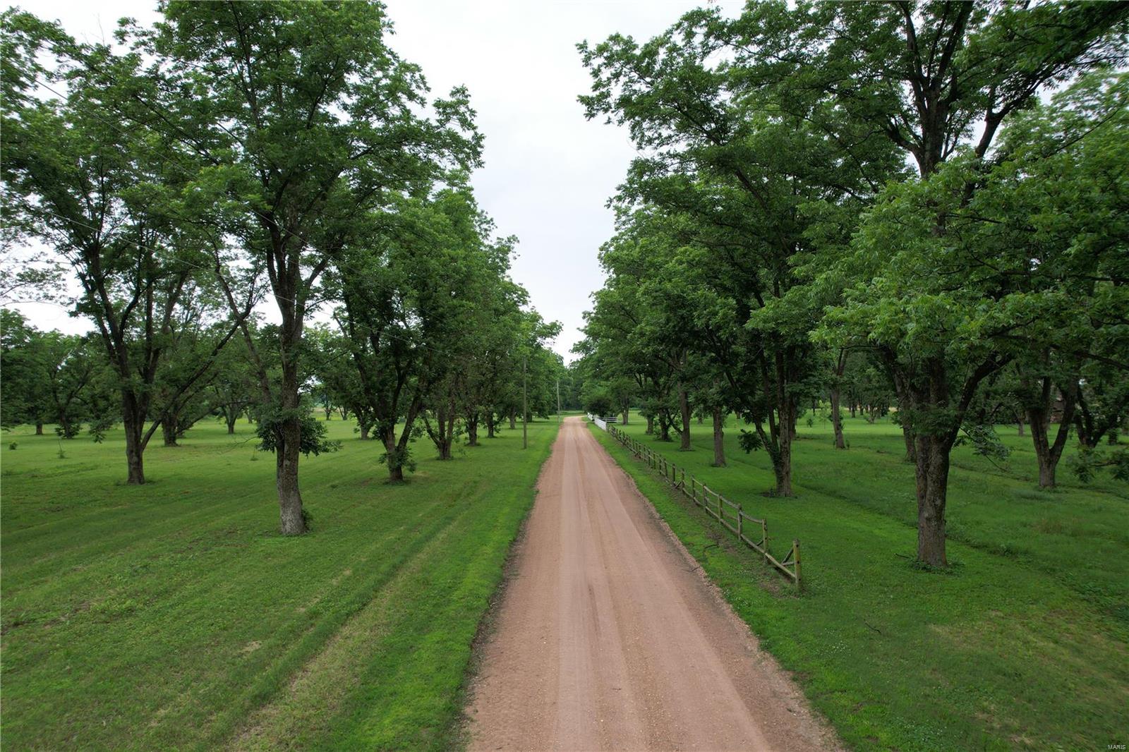 Photo of 18465 County Road 405 Kennett MO 63857
