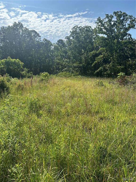 Photo of 21 Hwy 21 N Doniphan MO 63935