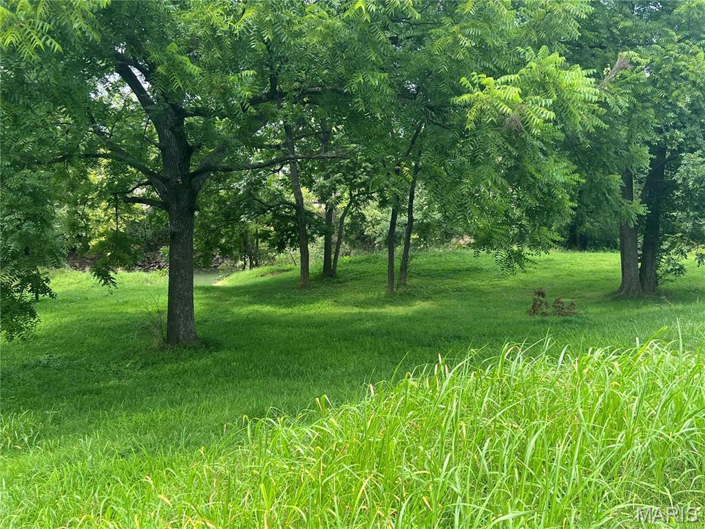Photo of 707 Riverview Drive Poplar Bluff MO 63901