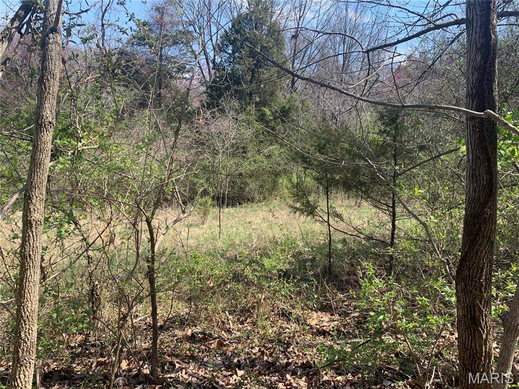 Photo of 910 Old Eatherton Wildwood MO 63038