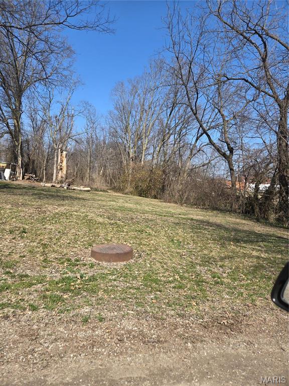 Photo of 650 Sarah Street Livingston IL 62058