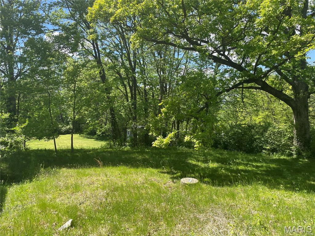 Photo of 1925 W Woodbine Ave Kirkwood MO 63122