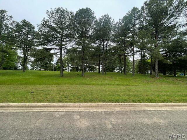 Photo of Lot 3 W Highland Circle Poplar Bluff MO 63901